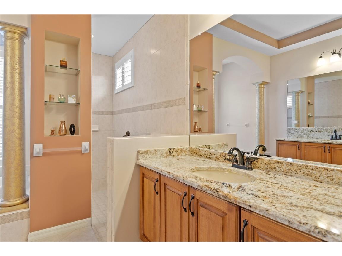 17923 Arbor Haven Drive Tampa FL 33647 TB8441327 image18