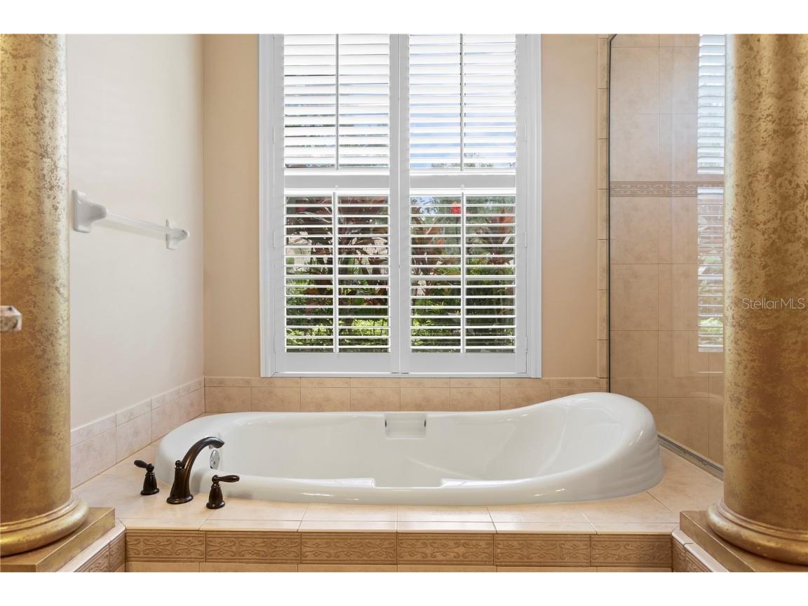 17923 Arbor Haven Drive Tampa FL 33647 TB8441327 image19