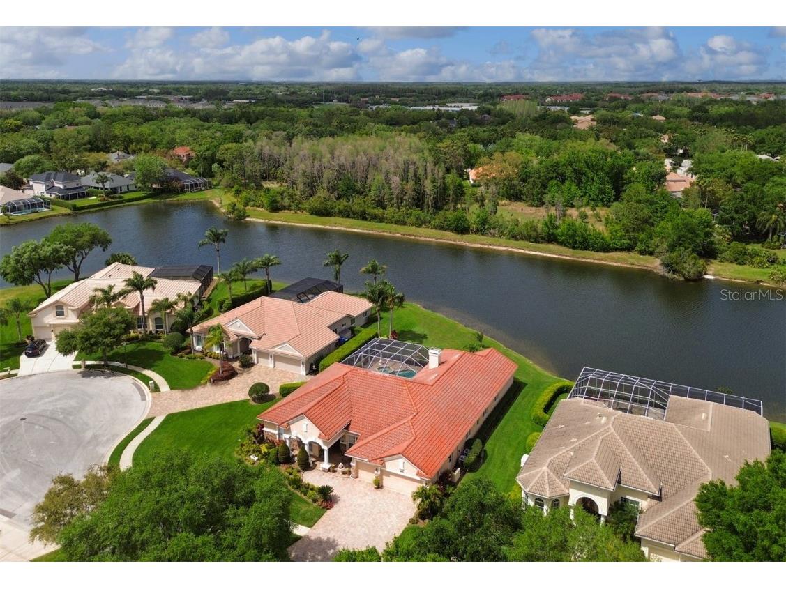 17923 Arbor Haven Drive Tampa FL 33647 TB8441327 image2