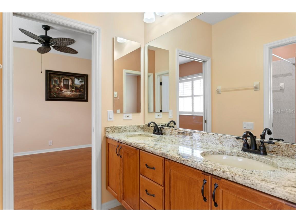 17923 Arbor Haven Drive Tampa FL 33647 TB8441327 image22