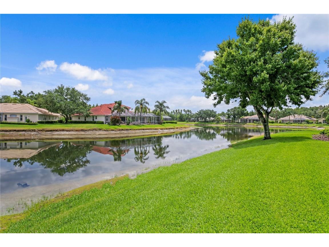 17923 Arbor Haven Drive Tampa FL 33647 TB8441327 image34