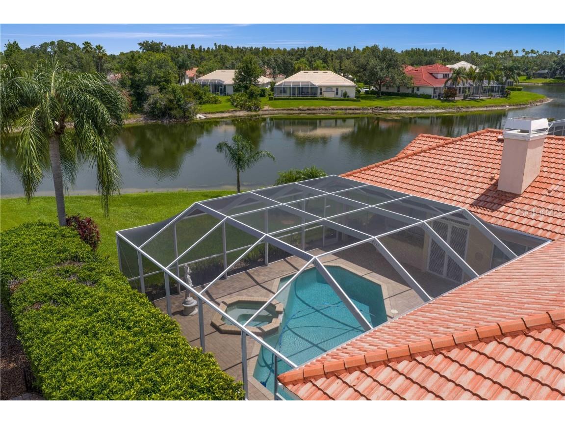 17923 Arbor Haven Drive Tampa FL 33647 TB8441327 image36