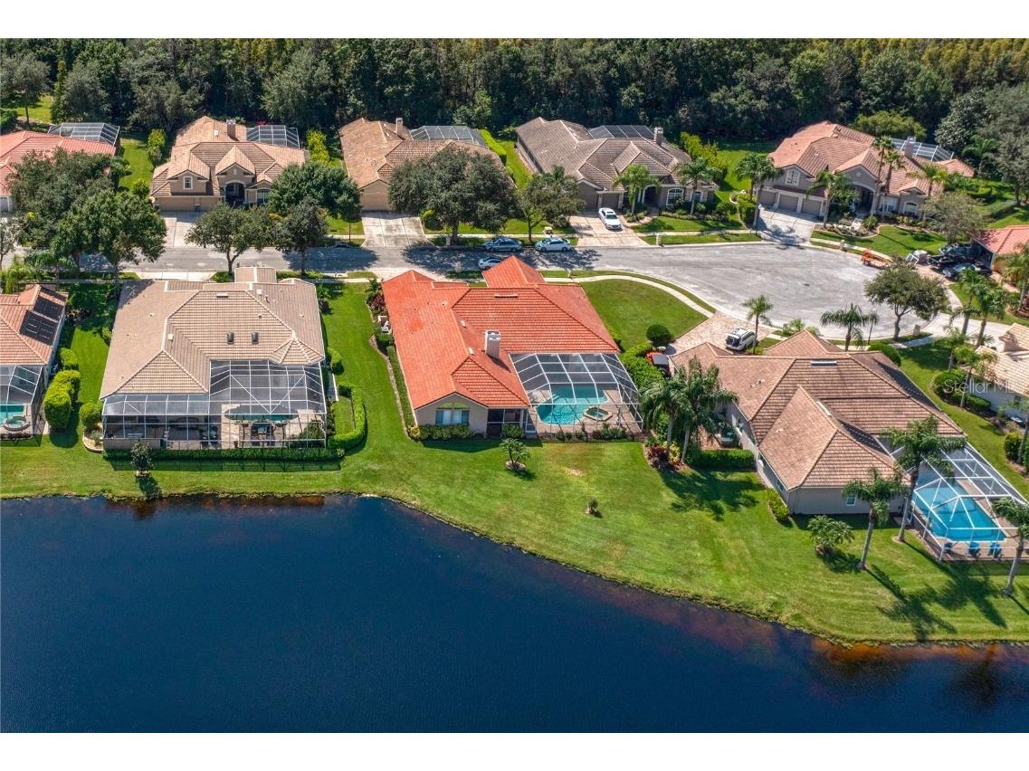 17923 Arbor Haven Drive Tampa FL 33647 TB8441327 image38