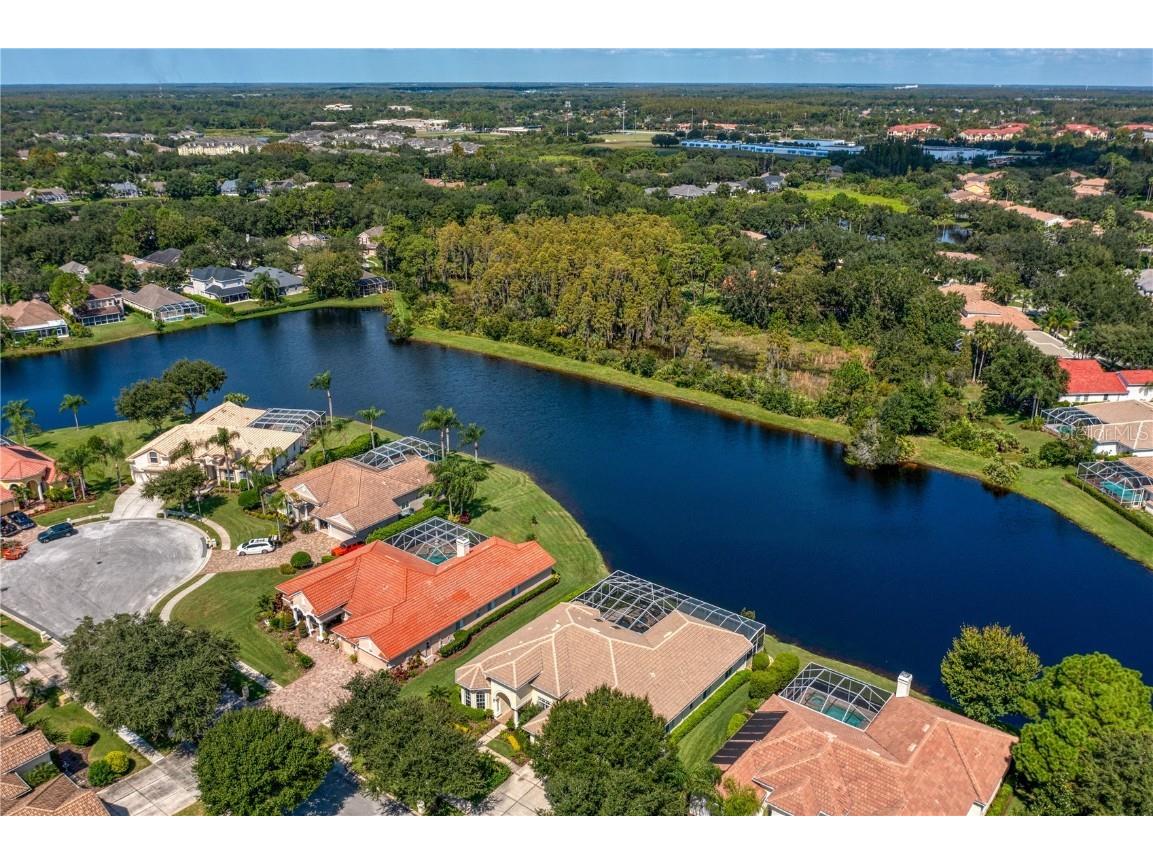 17923 Arbor Haven Drive Tampa FL 33647 TB8441327 image39