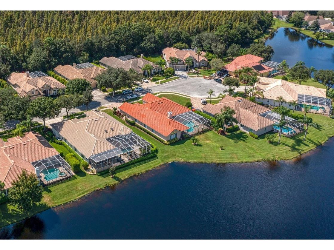 17923 Arbor Haven Drive Tampa FL 33647 TB8441327 image40