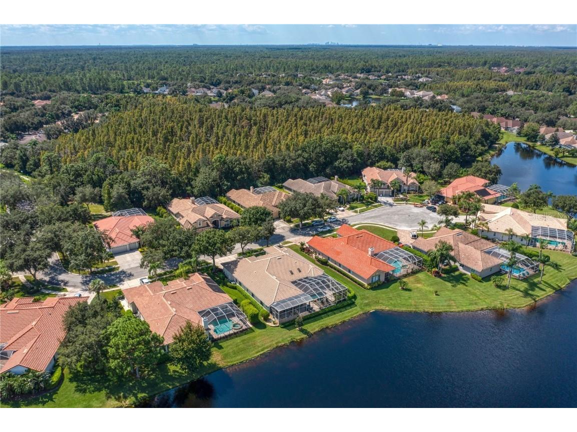 17923 Arbor Haven Drive Tampa FL 33647 TB8441327 image41