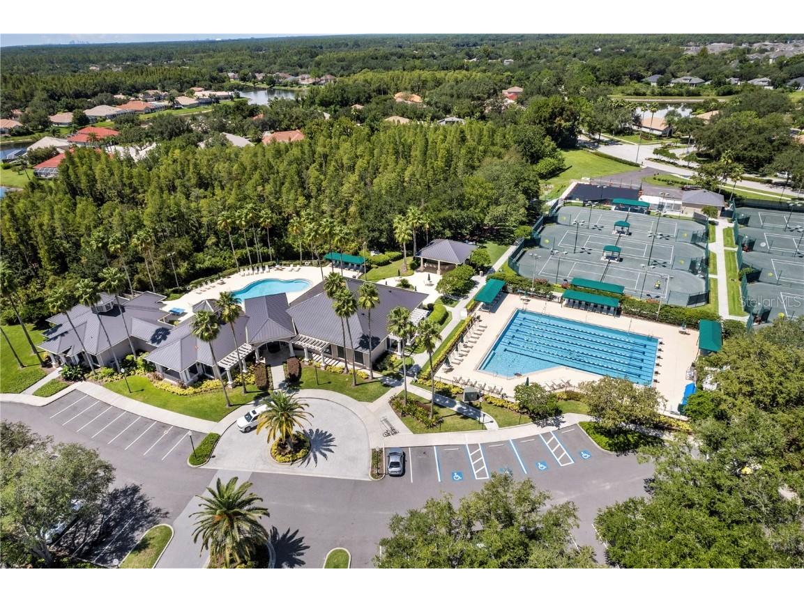 17923 Arbor Haven Drive Tampa FL 33647 TB8441327 image43