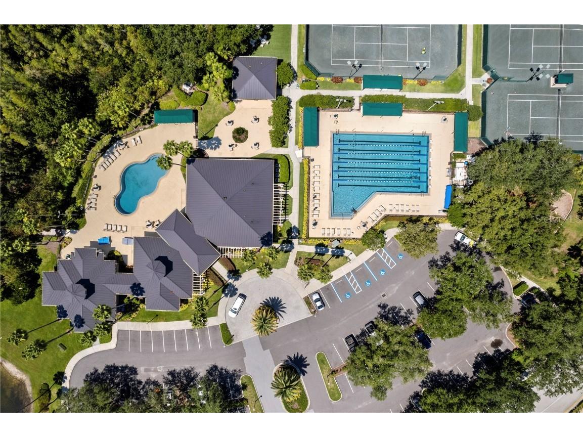 17923 Arbor Haven Drive Tampa FL 33647 TB8441327 image44