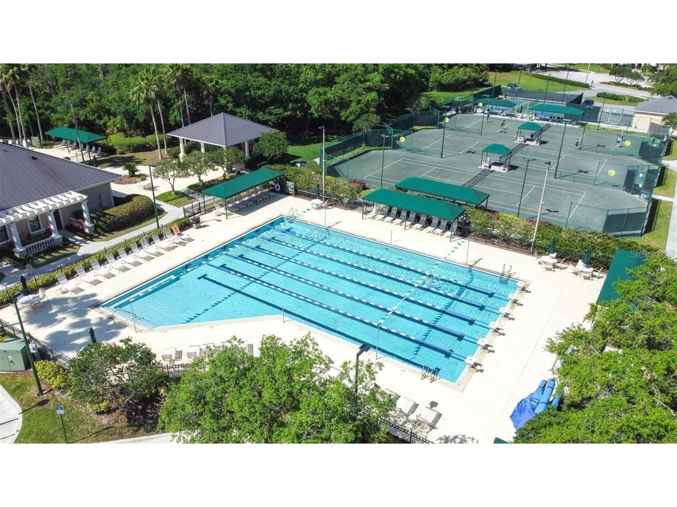 17923 Arbor Haven Drive Tampa FL 33647 TB8441327 image51