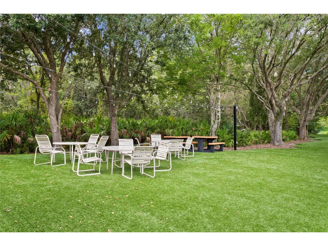 17923 Arbor Haven Drive Tampa FL 33647 TB8441327 image52