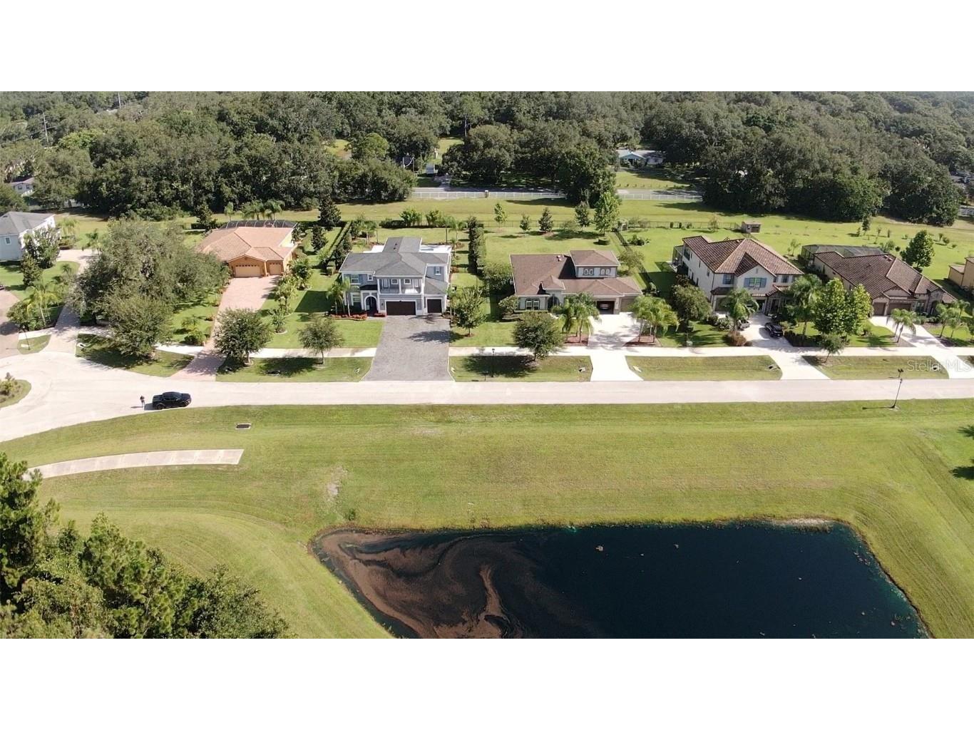 17923 Barn Close Drive Lutz FL 33559 TB8411009 image11
