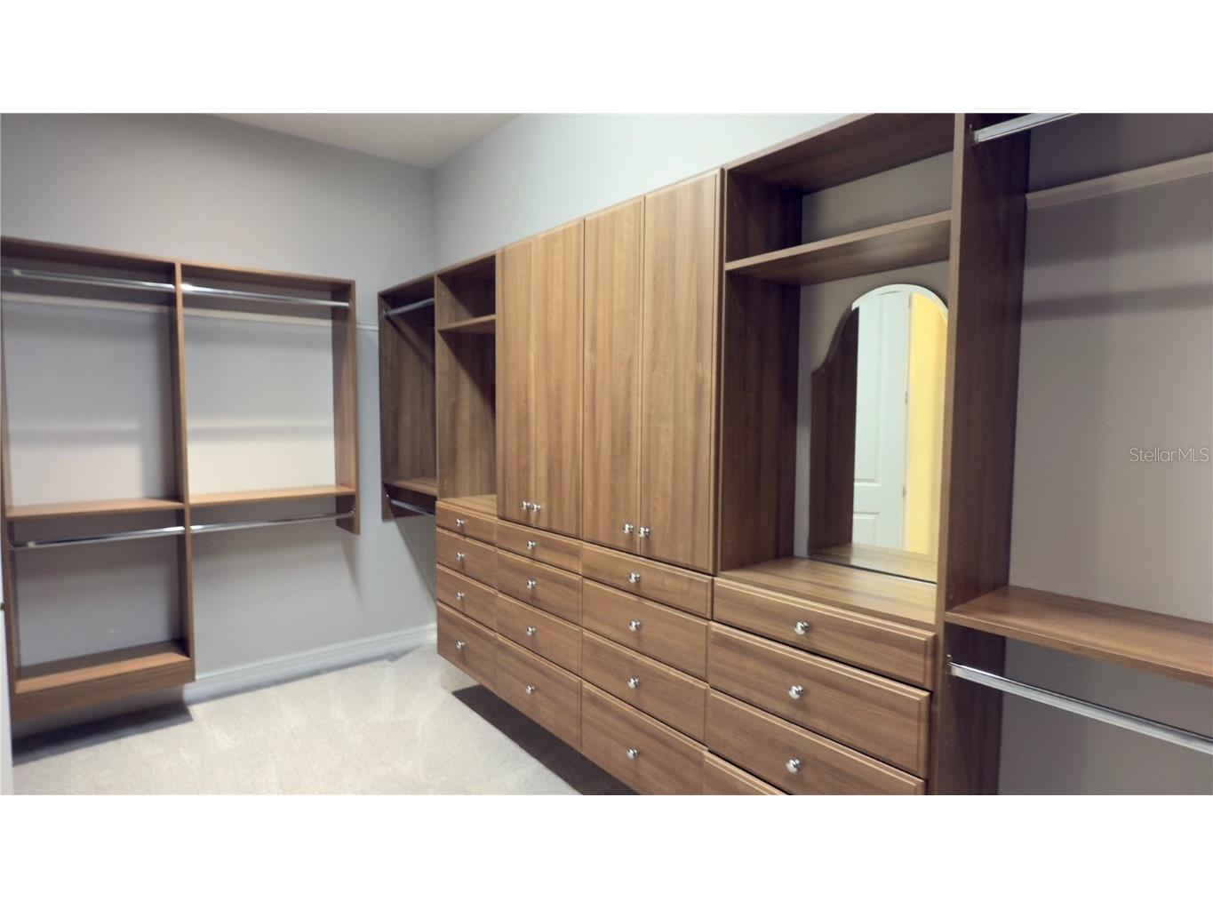 17923 Barn Close Drive Lutz FL 33559 TB8411009 image42