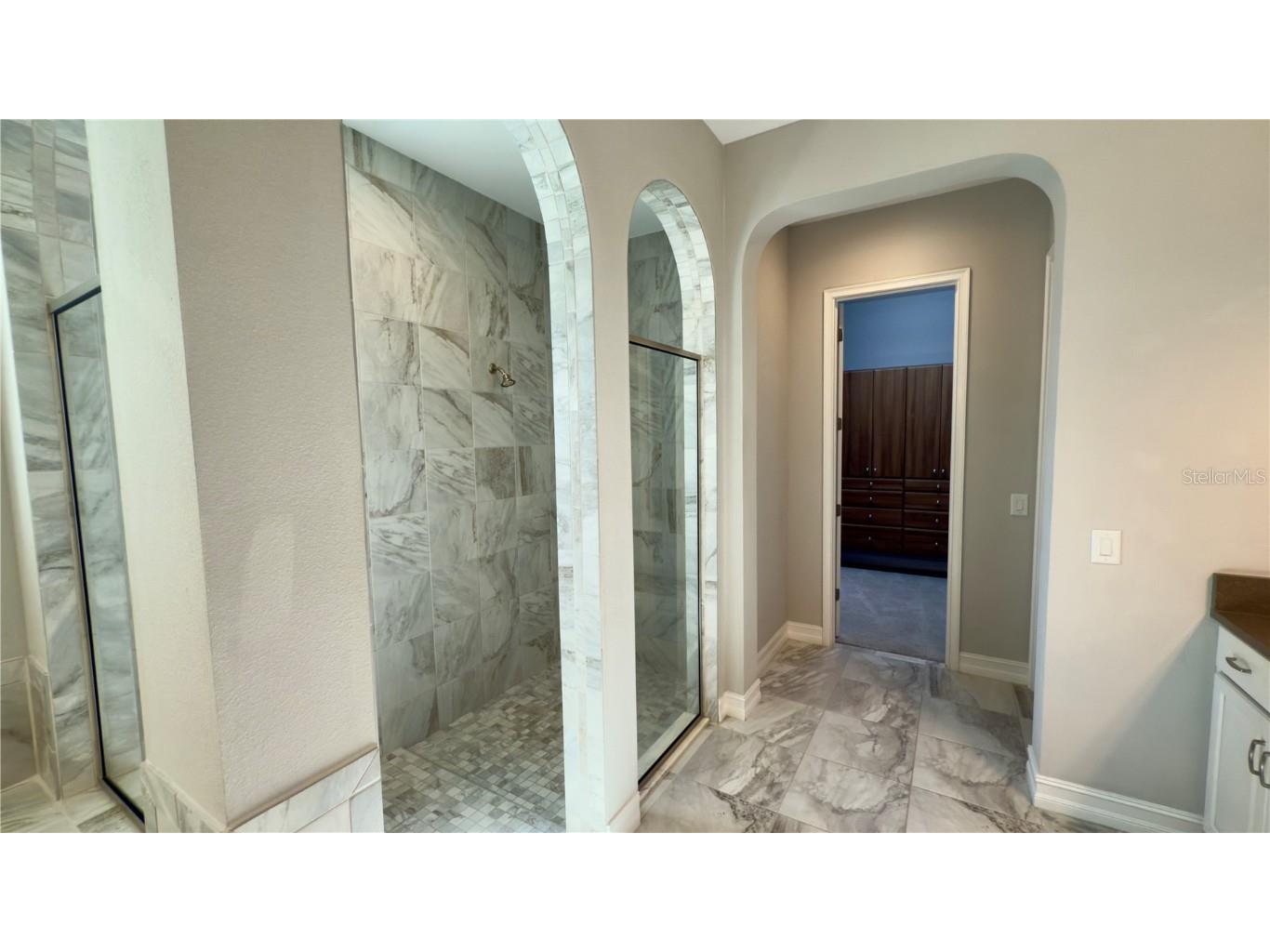 17923 Barn Close Drive Lutz FL 33559 TB8411009 image46