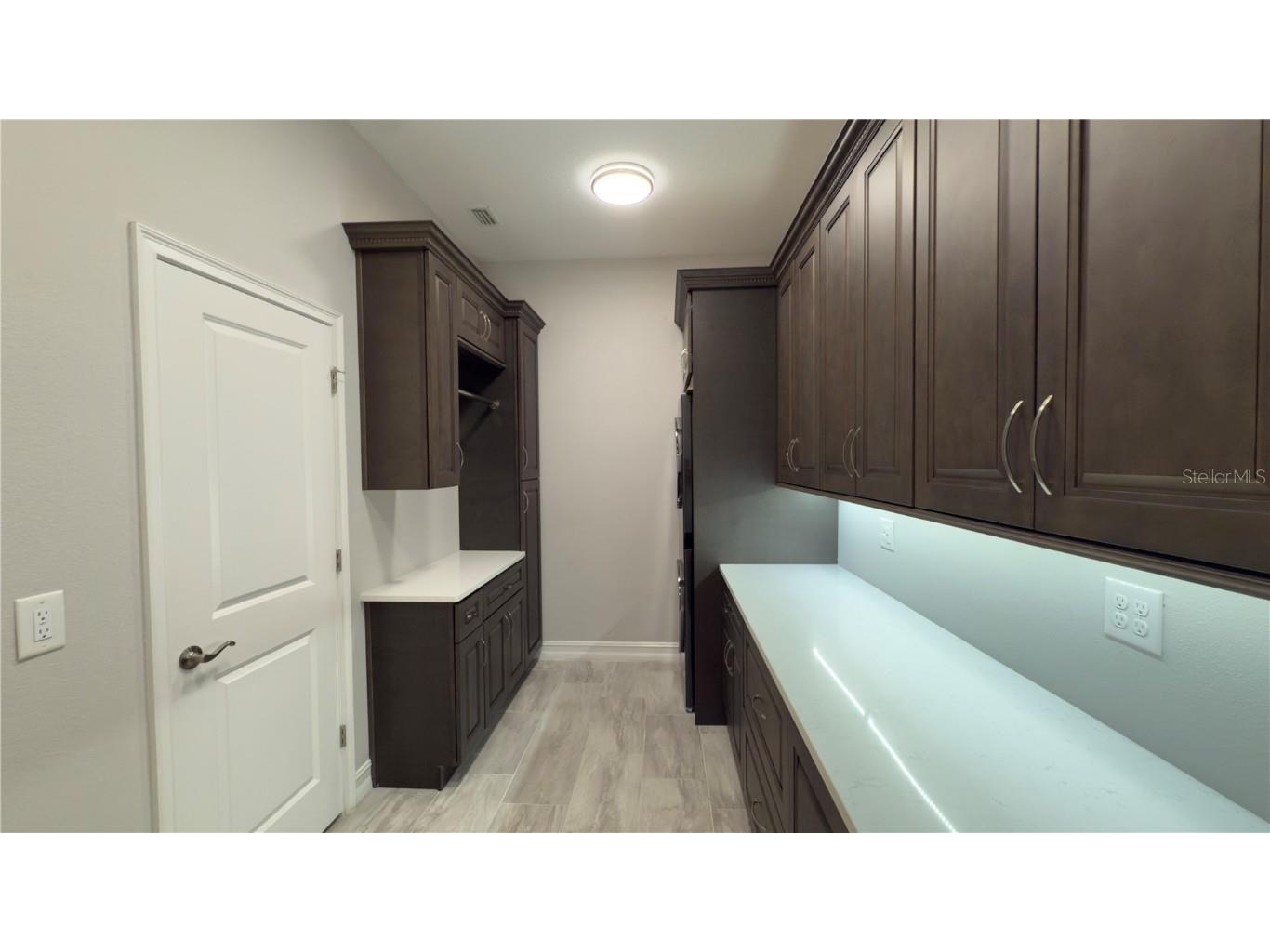 17923 Barn Close Drive Lutz FL 33559 TB8411009 image50