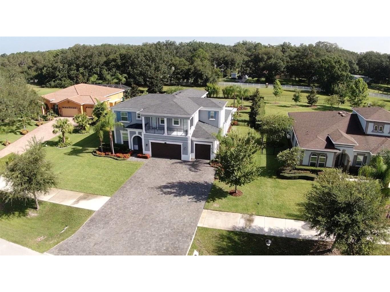 17923 Barn Close Drive Lutz FL 33559 TB8411009 image8