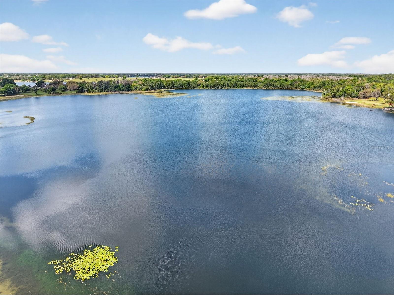 17923 Florida Street Umatilla FL 32784 - LAKE BILLY BOO HOO G5111010 image32