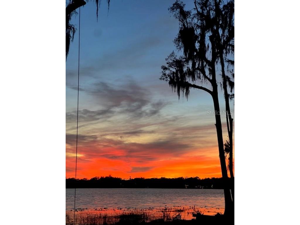 17924 Simms Road Odessa FL 33556 - KEYSTONE LAKE TB8437664 image8