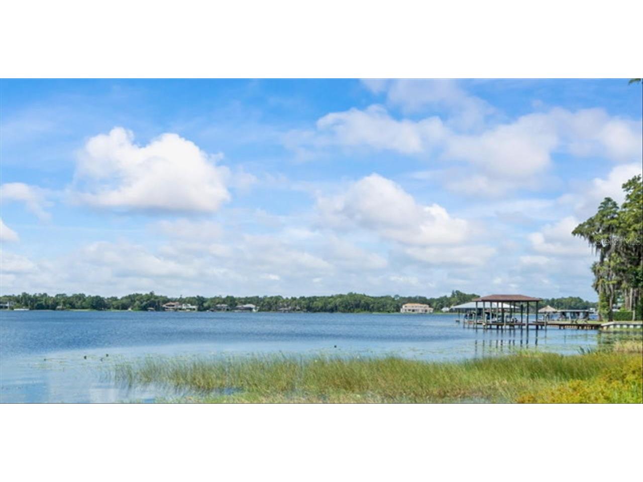 17924 Simms Road Odessa FL 33556 - KEYSTONE LAKE TB8437664 image9