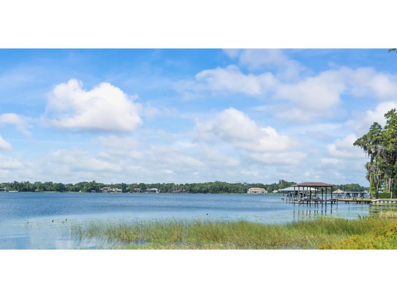 17924 Simms Road Odessa FL 33556 - KEYSTONE LAKE TB8445915 image14