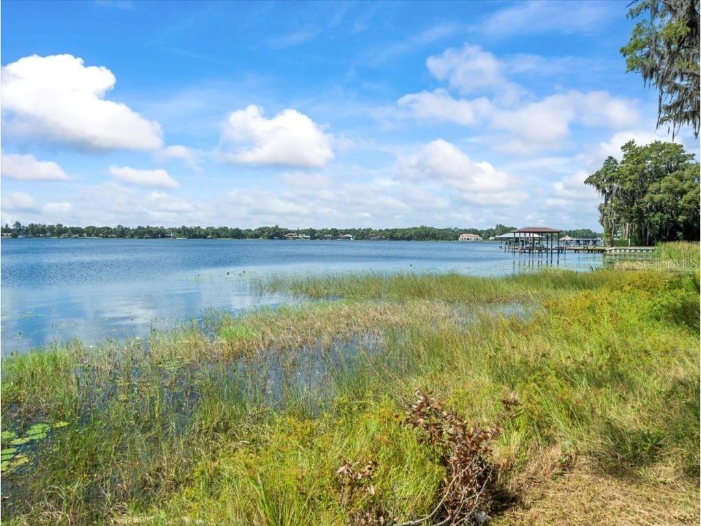 17924 Simms Road Odessa FL 33556 - KEYSTONE LAKE TB8445915 image8