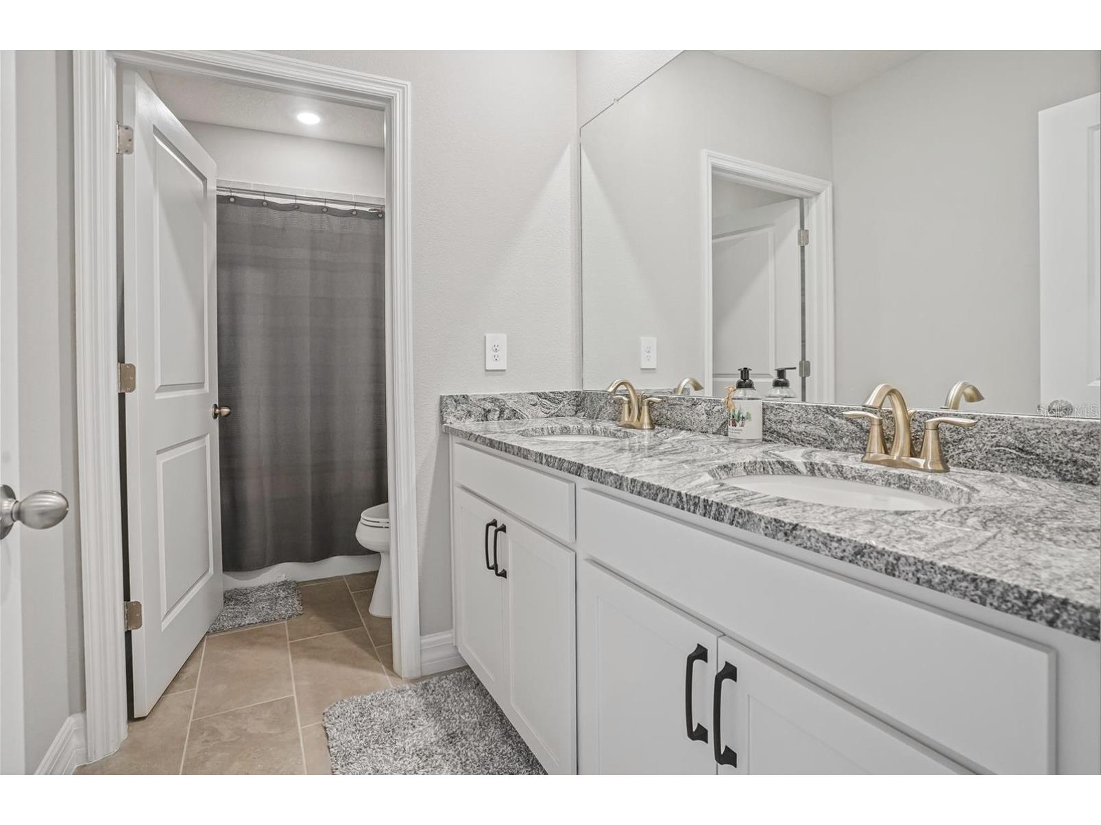 17925 Fattoria Terrace Lakewood Ranch FL 34211 A4699127 image14