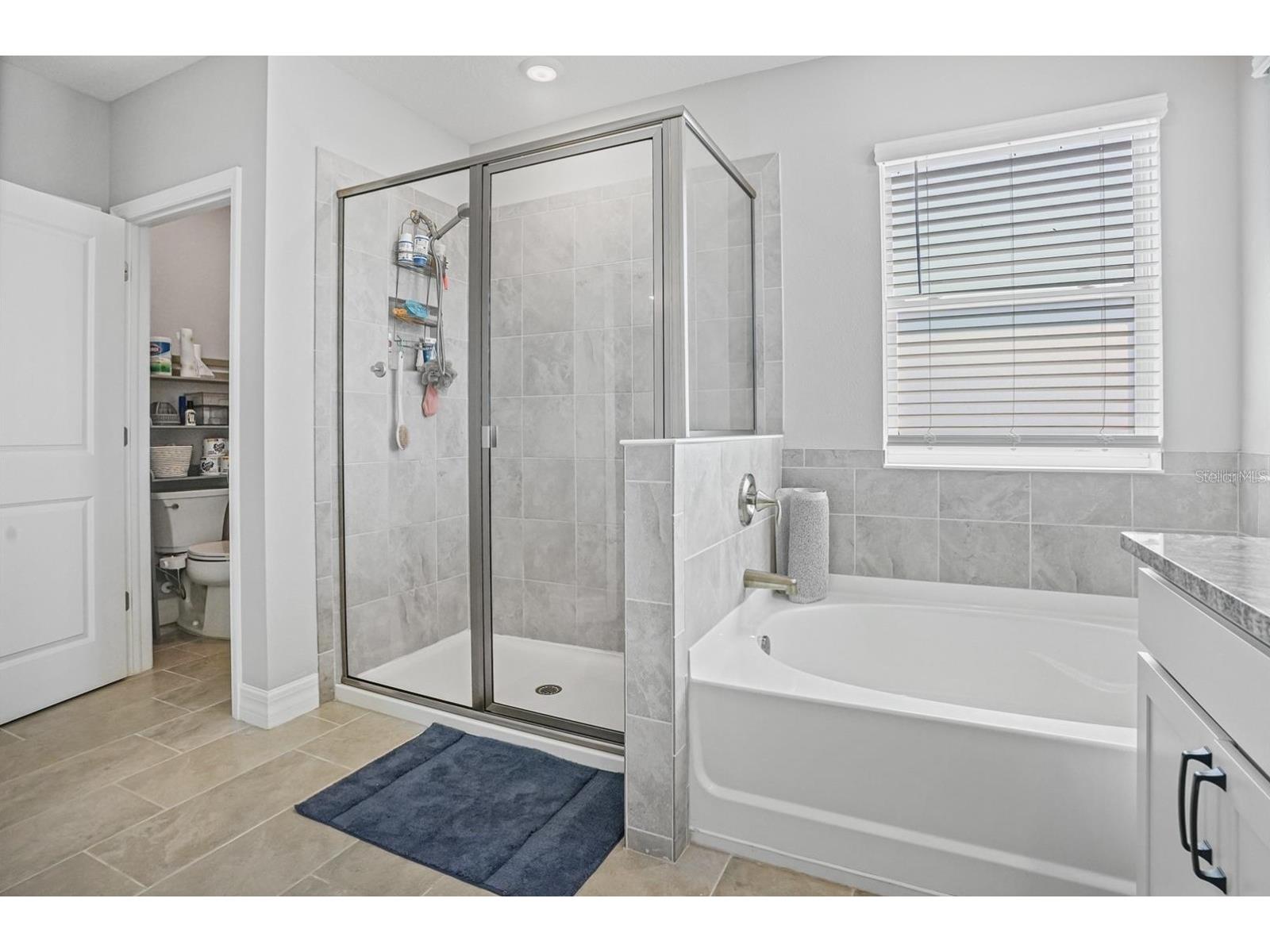 17925 Fattoria Terrace Lakewood Ranch FL 34211 A4699127 image18