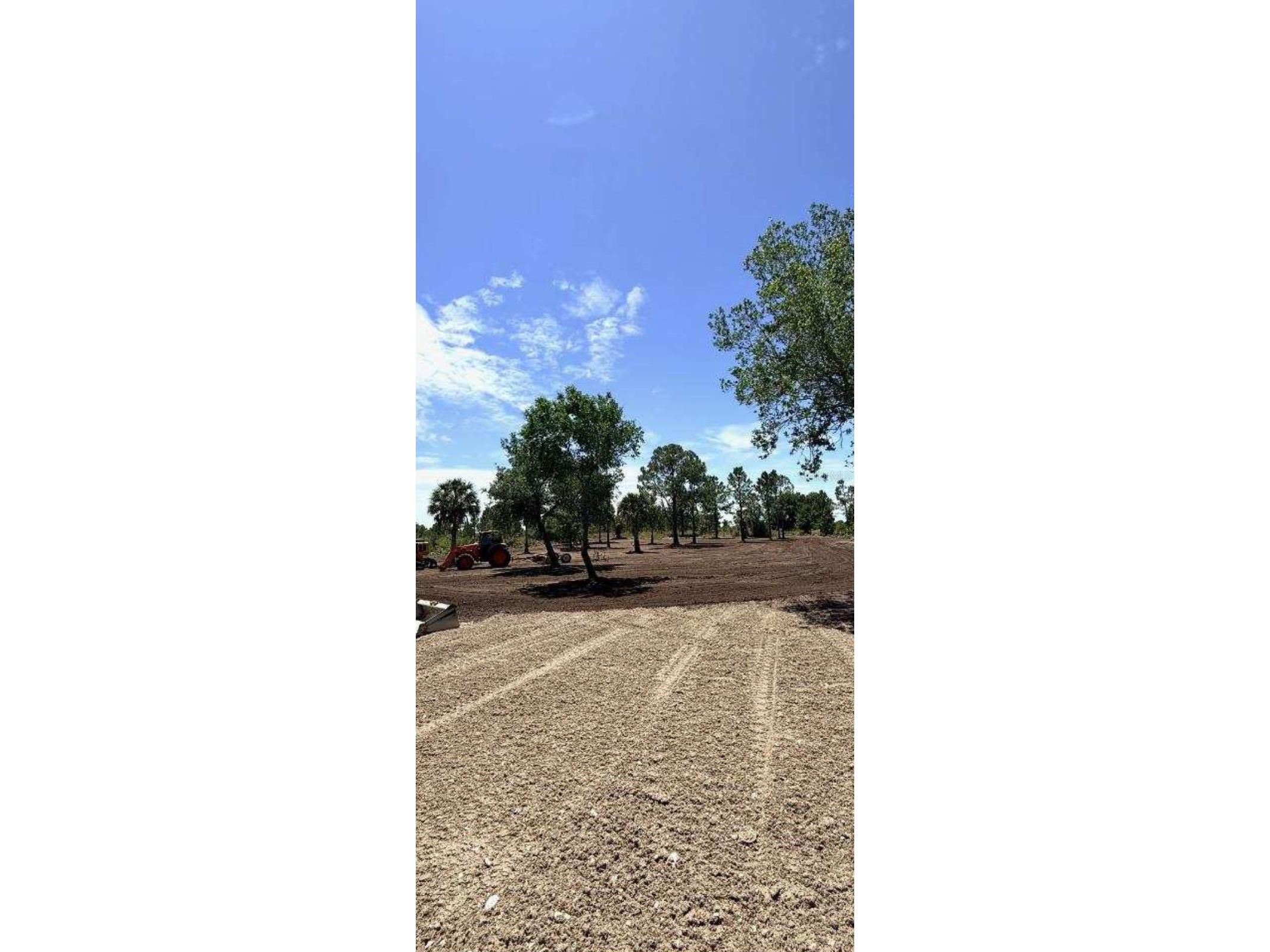 17926 NW 250th Street Okeechobee FL 34972 D6147492 image3