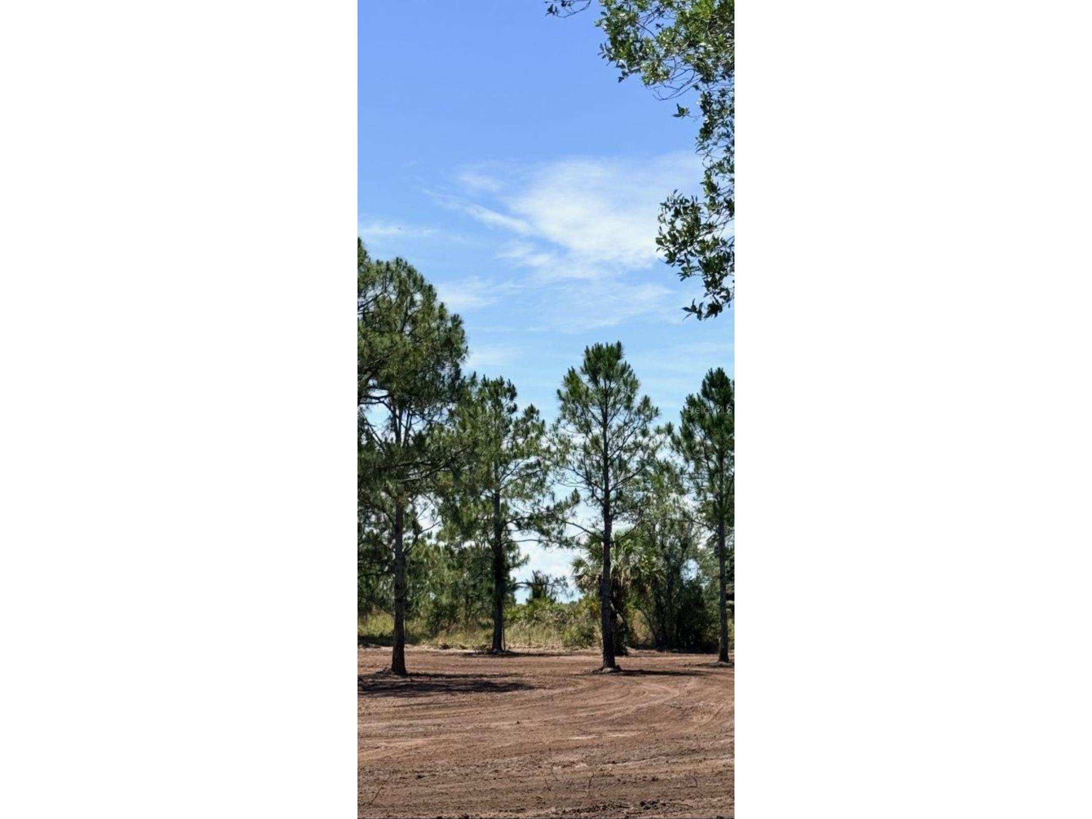 17926 NW 250th Street Okeechobee FL 34972 D6147492 image4