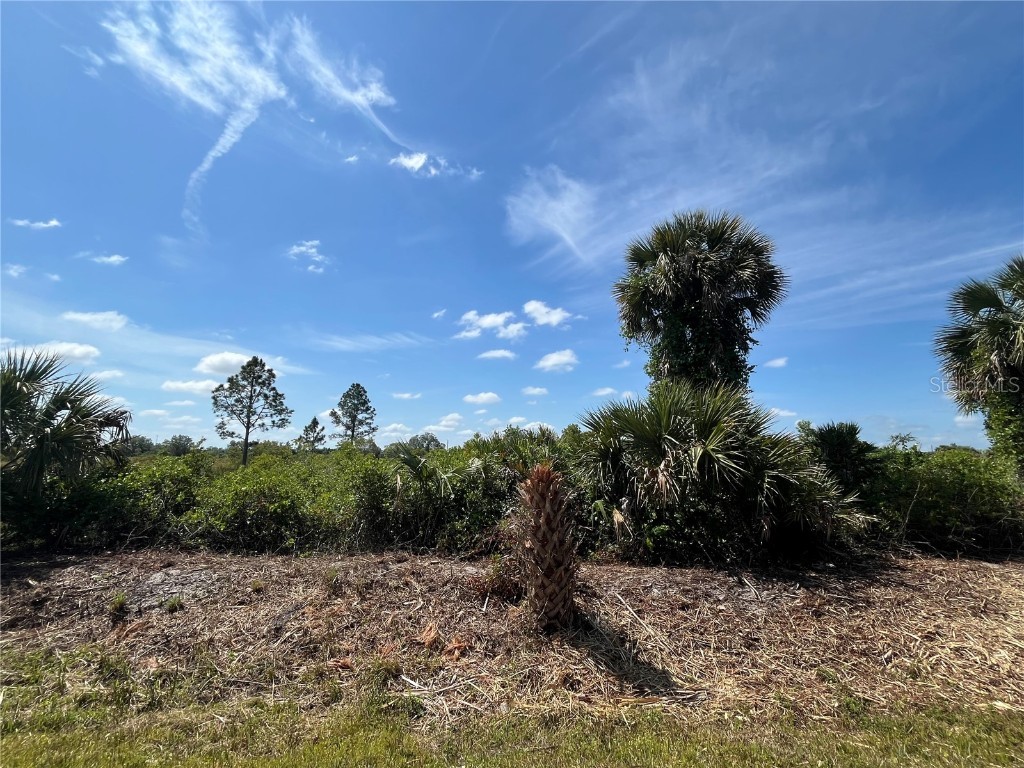 17926 NW 298th Street Okeechobee FL 34972 OK223915 image1