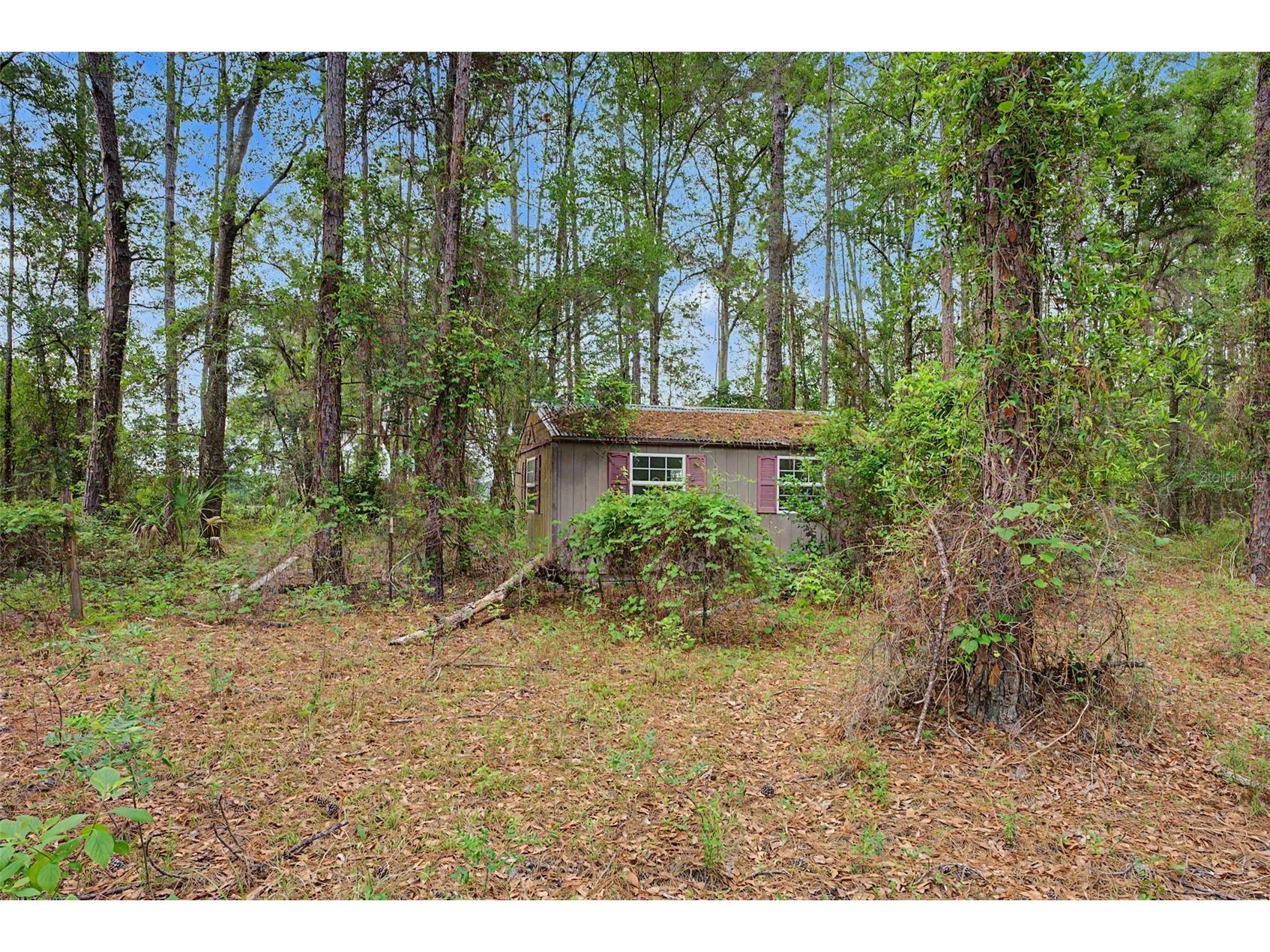 17926 SE 49th Place Hawthorne FL 32640 TB8510489 image100