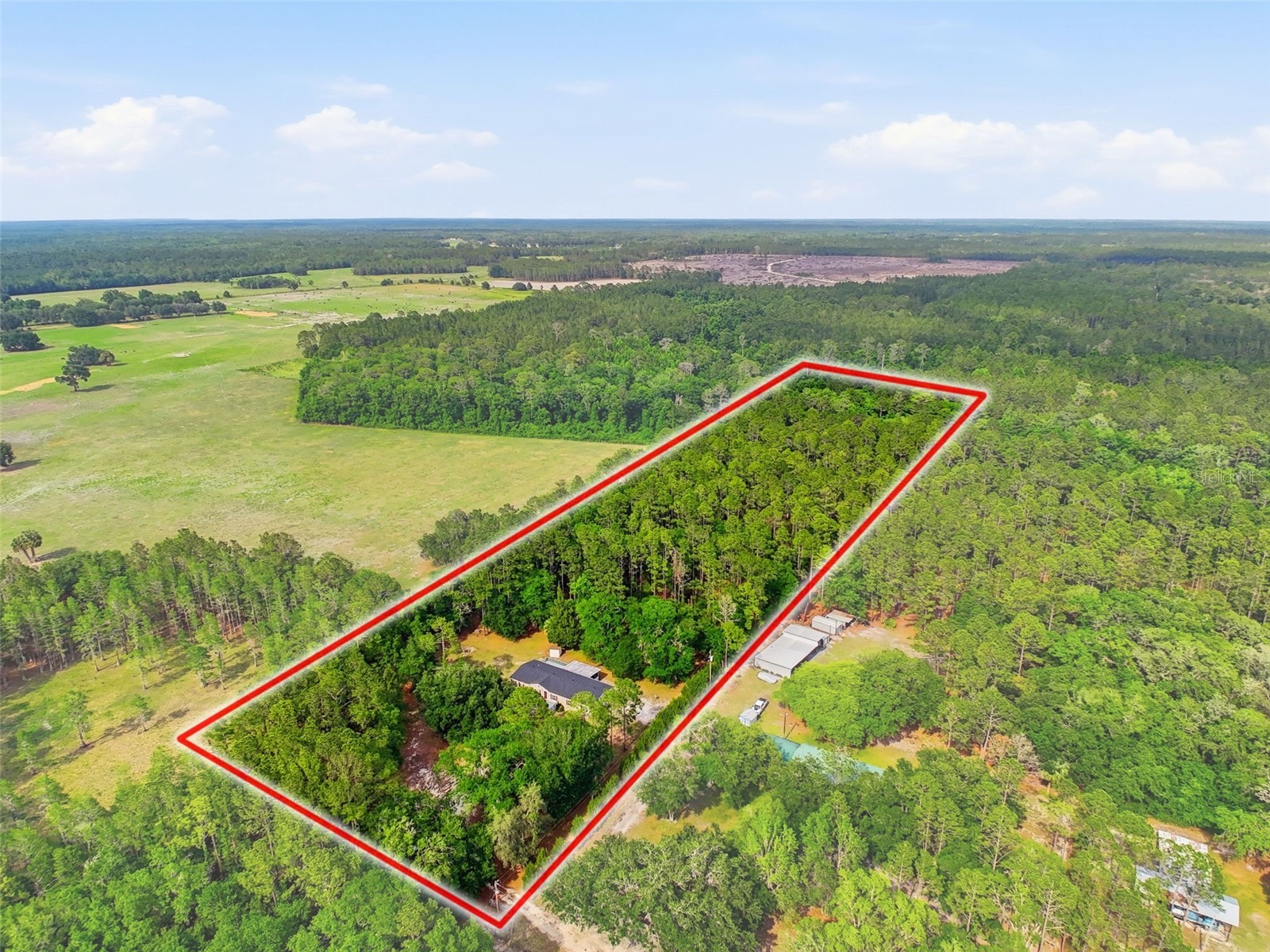17926 SE 49th Place Hawthorne FL 32640 TB8510489 image4