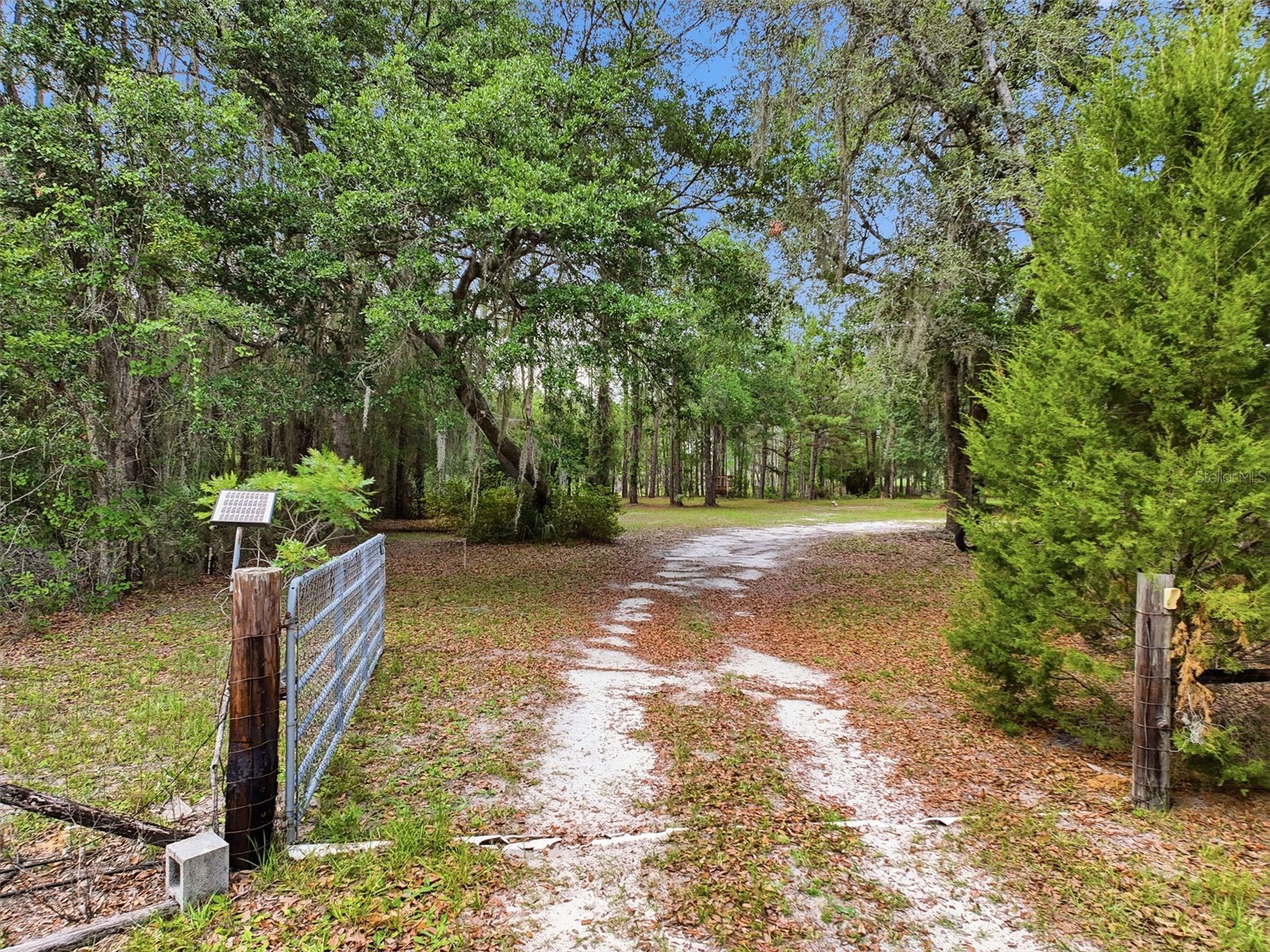 17926 SE 49th Place Hawthorne FL 32640 TB8510489 image6