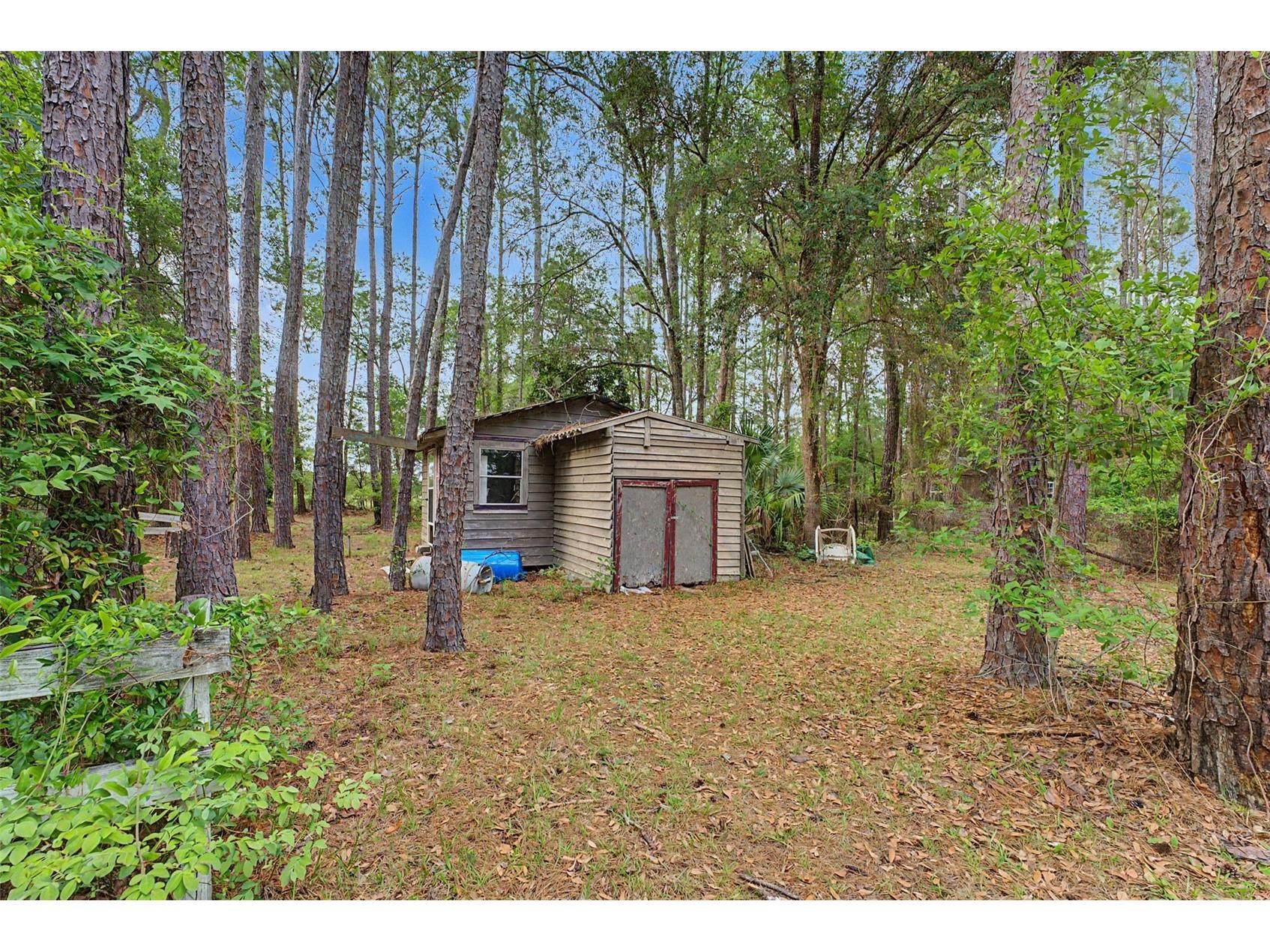 17926 SE 49th Place Hawthorne FL 32640 TB8510489 image99