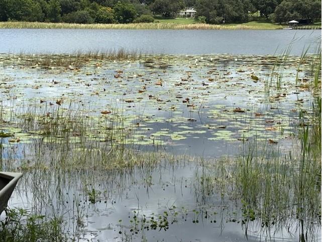 17927 E Apshawa Road Minneola FL 34715 O6320923 image39