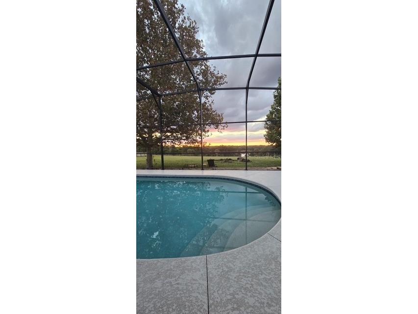 17927 E Apshawa Road Minneola FL 34715 O6320923 image4