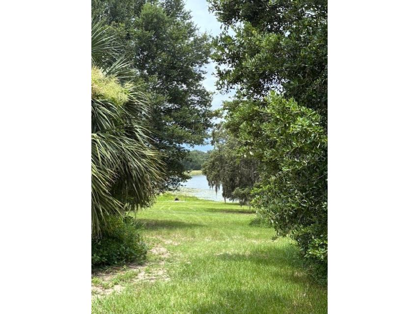 17927 E Apshawa Road Minneola FL 34715 O6320923 image41