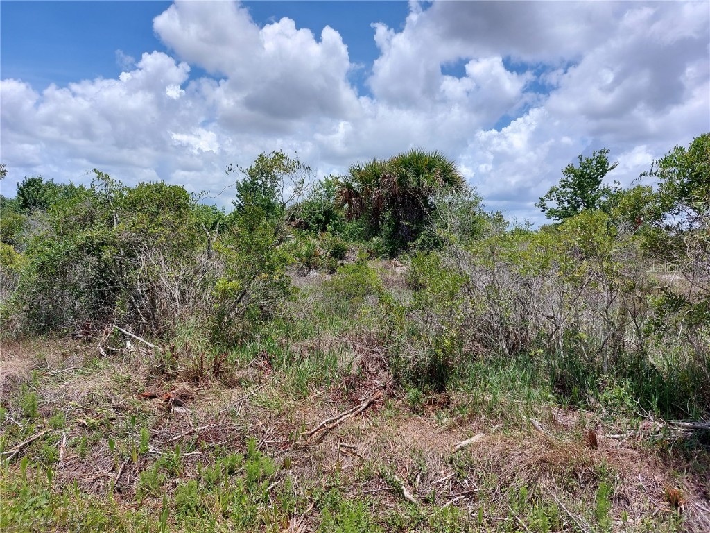 17927 NW 286th Street Okeechobee FL 34972 OK221455 image1