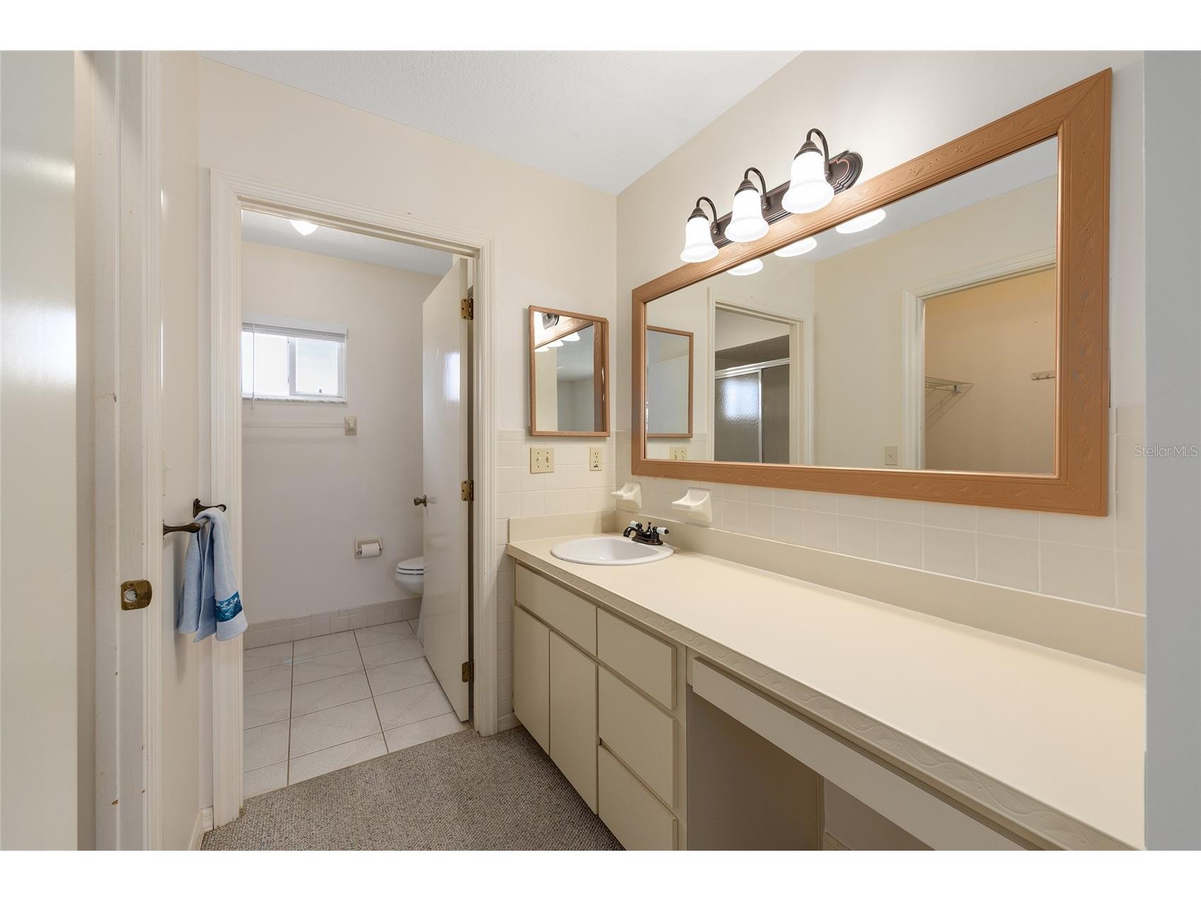 17929 SE 104th Terrace Summerfield FL 34491 G5106488 image18