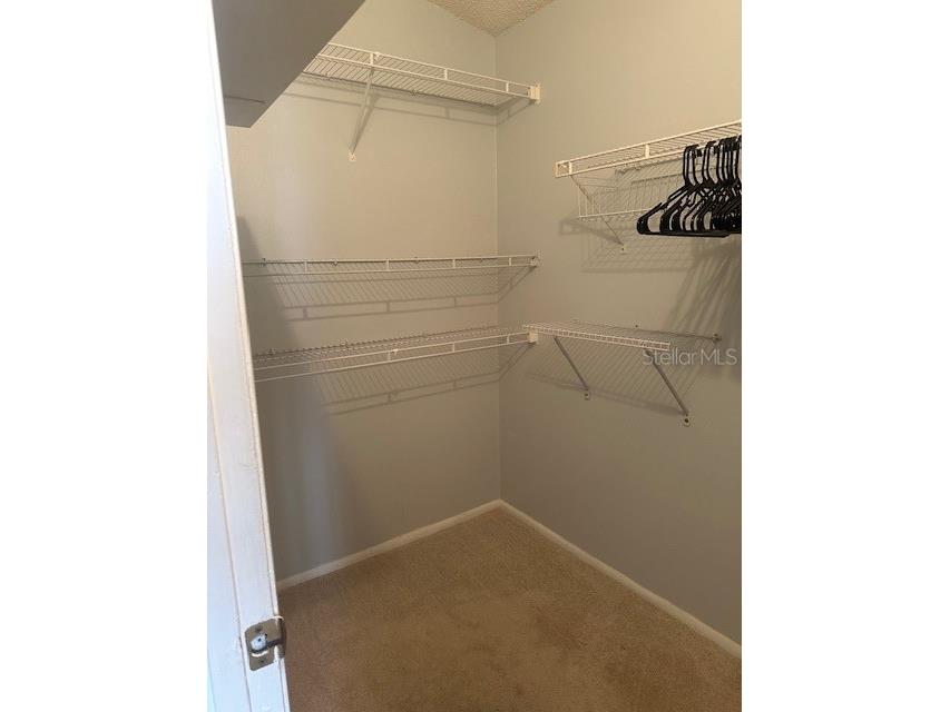 1793 Hampton Lane #110 Palm Harbor FL 34683 TB8475246 image14