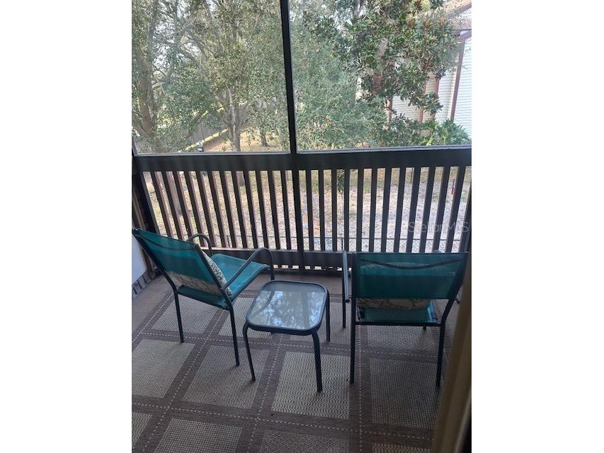 1793 Hampton Lane #110 Palm Harbor FL 34683 TB8475246 image15