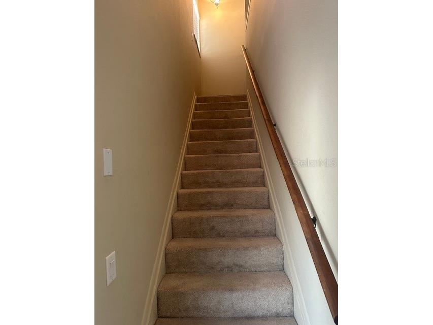 1793 Hampton Lane #110 Palm Harbor FL 34683 TB8475246 image17