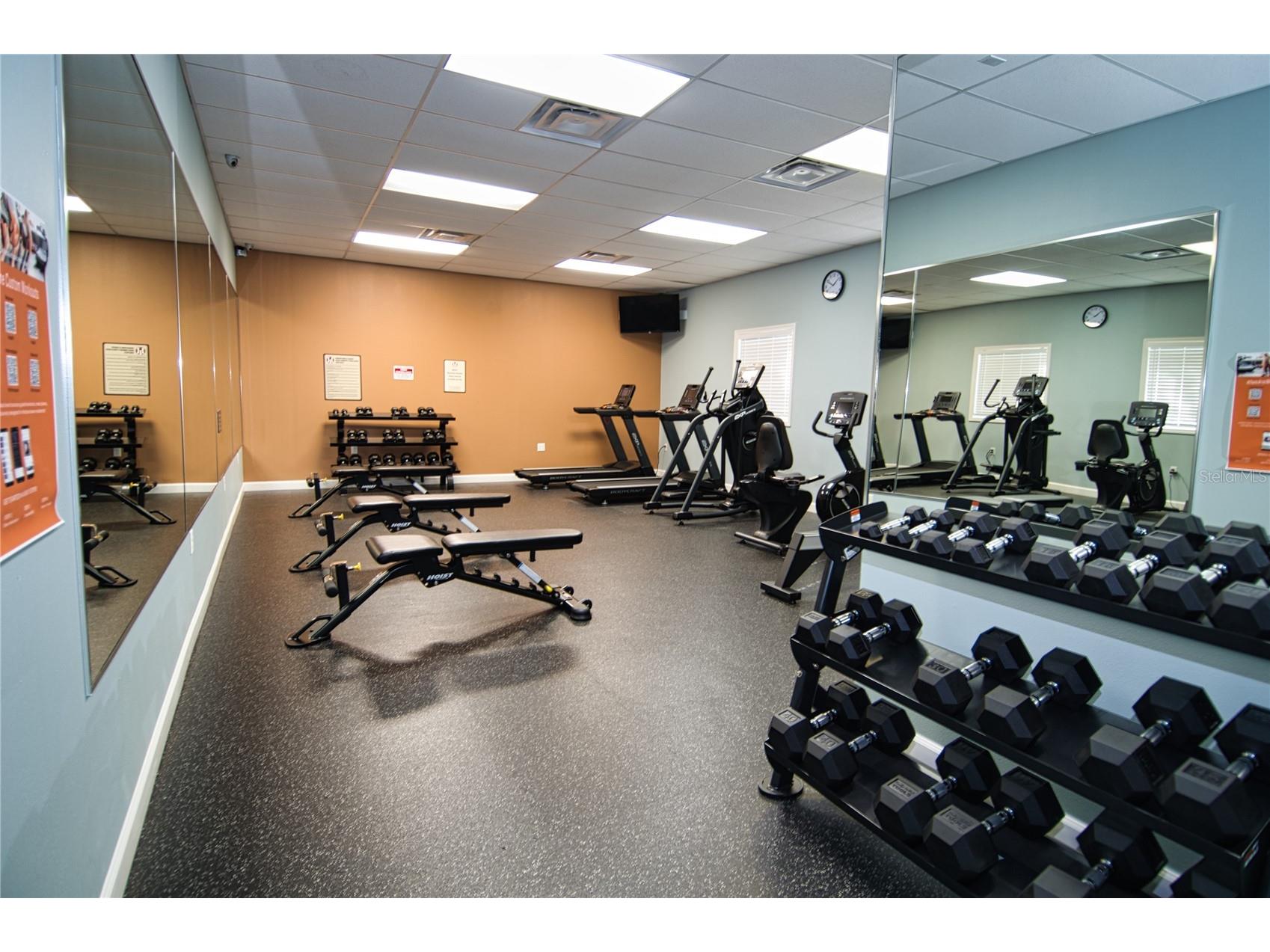 1793 Hampton Lane #110 Palm Harbor FL 34683 TB8475246 image19