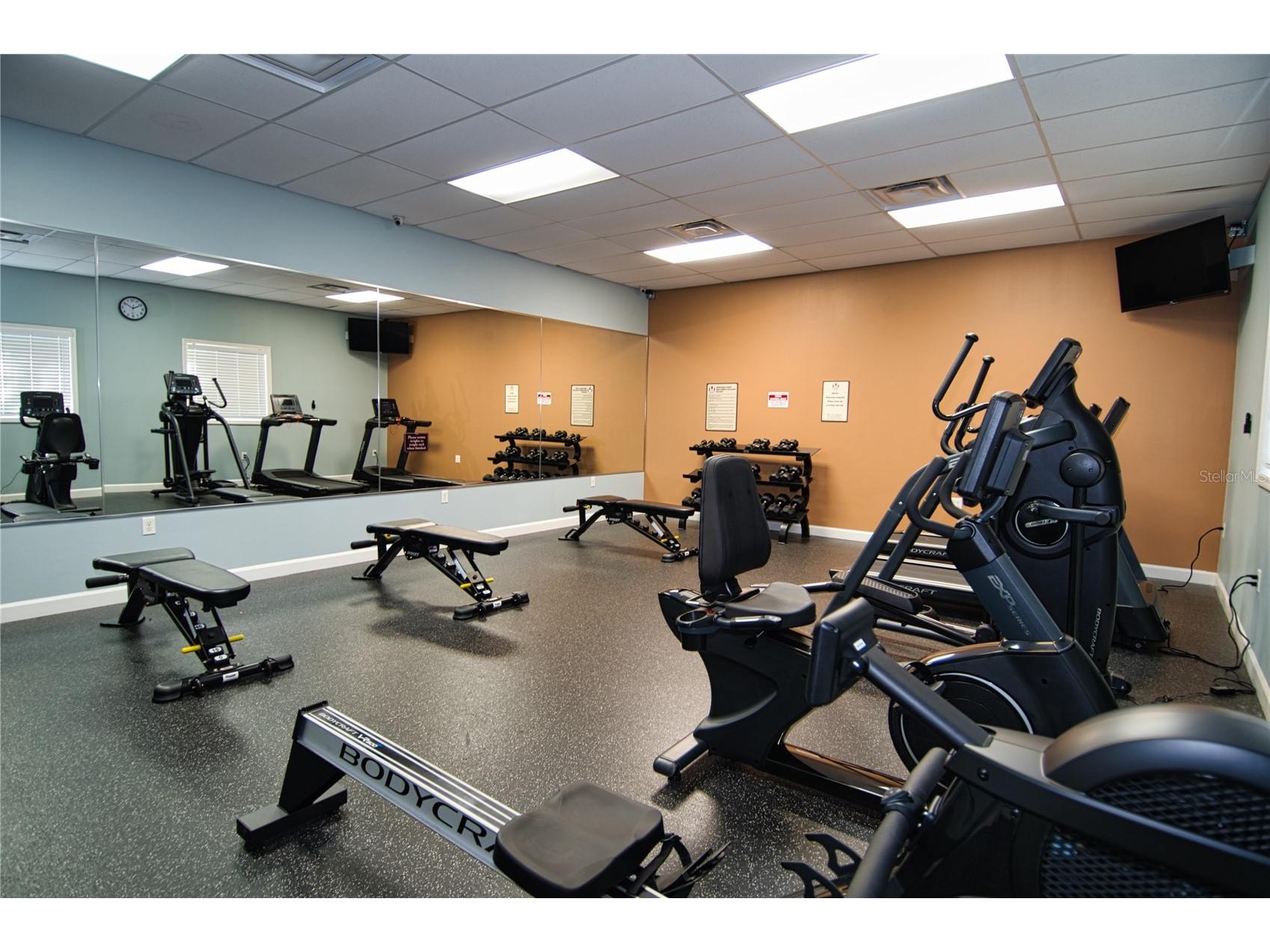 1793 Hampton Lane #110 Palm Harbor FL 34683 TB8475246 image20