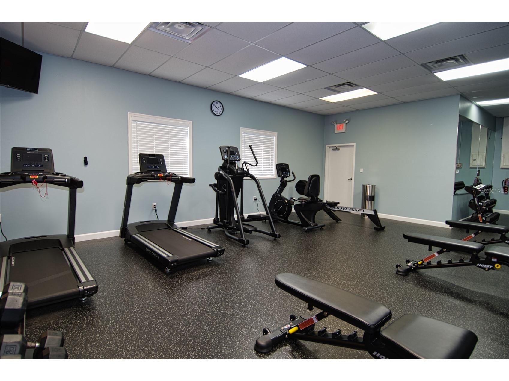 1793 Hampton Lane #110 Palm Harbor FL 34683 TB8475246 image21