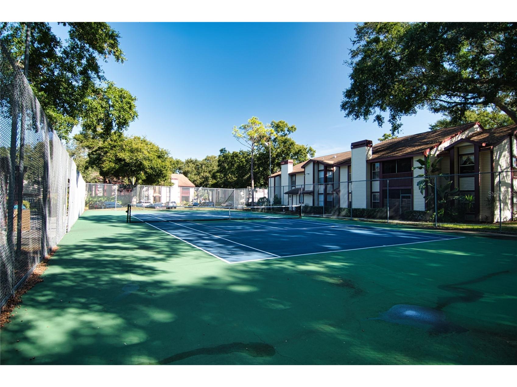 1793 Hampton Lane #110 Palm Harbor FL 34683 TB8475246 image28