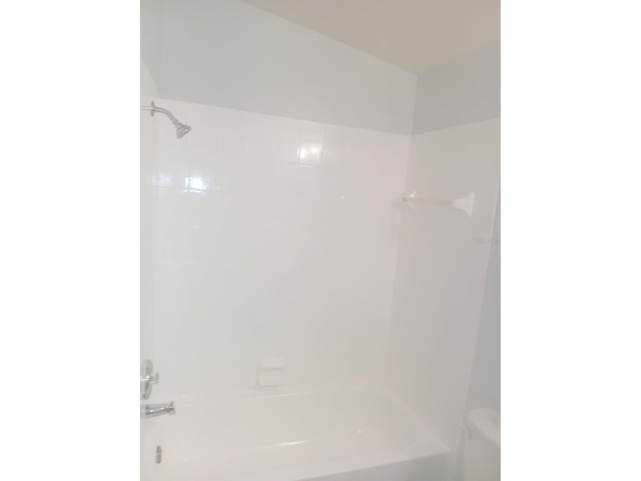 1793 Hampton Lane #110 Palm Harbor FL 34683 TB8475246 image9