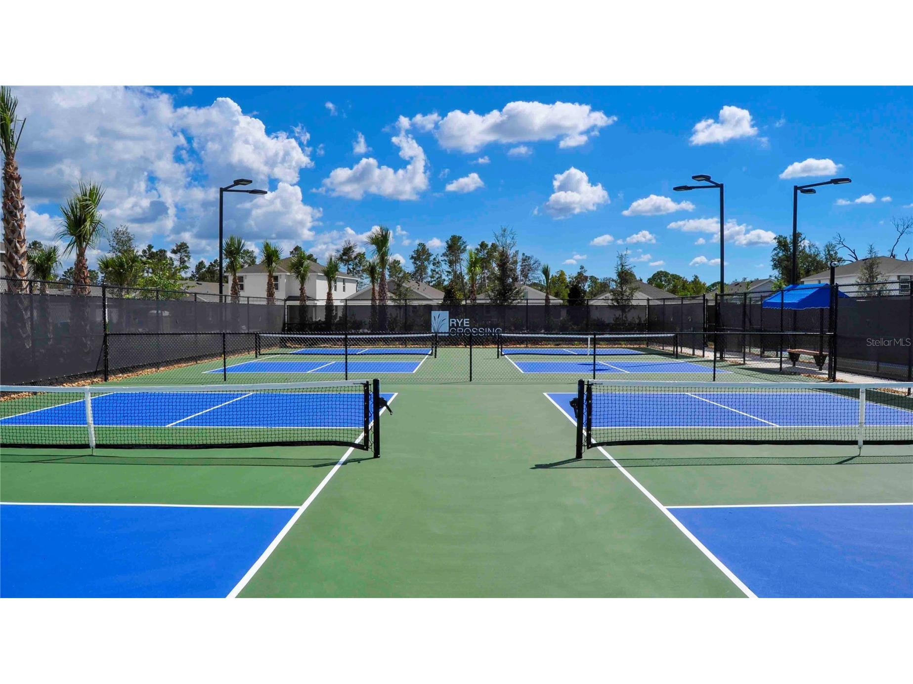 17930 Wheat Stack Court Parrish FL 34219 A4682154 image4