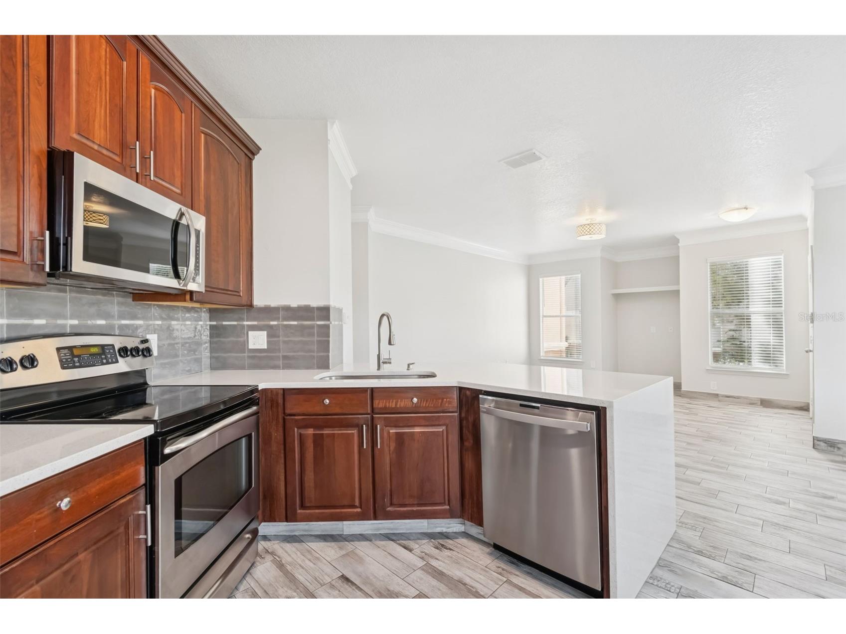 17932 Villa Creek Drive Tampa FL 33647 TB8461798 image18