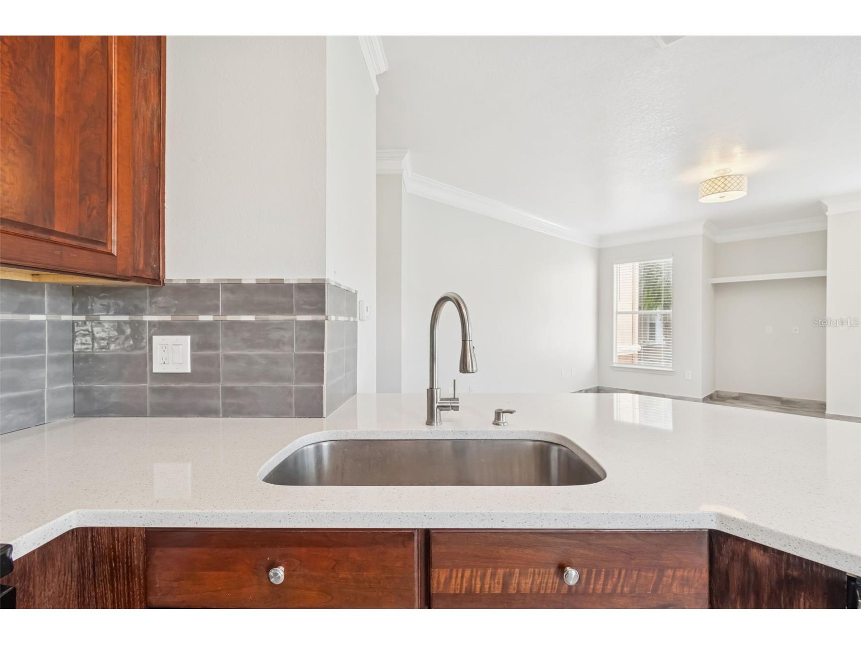 17932 Villa Creek Drive Tampa FL 33647 TB8461798 image20