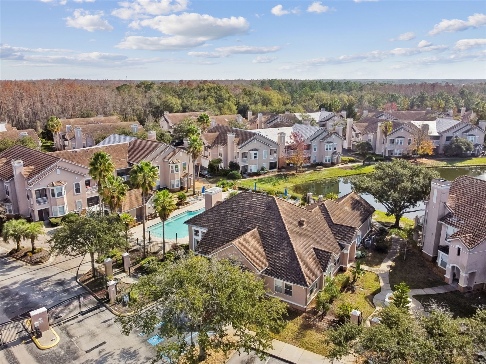 17932 Villa Creek Drive Tampa FL 33647 TB8461798 image50